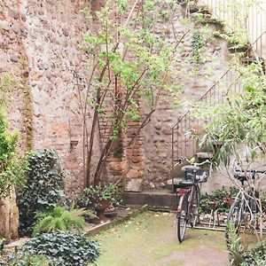 Apartamento Planta baja